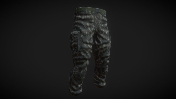 pants test (read the description) 3D Model