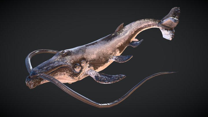 Whisker Whale 3D Model